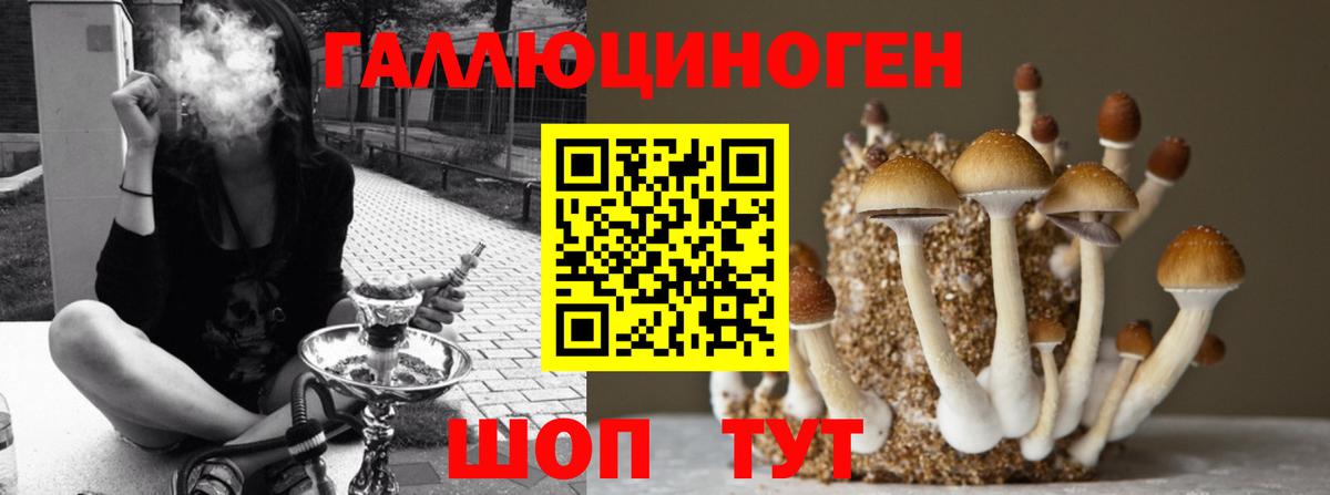 Галлюциногенные грибы GOLDEN TEACHER Тавда