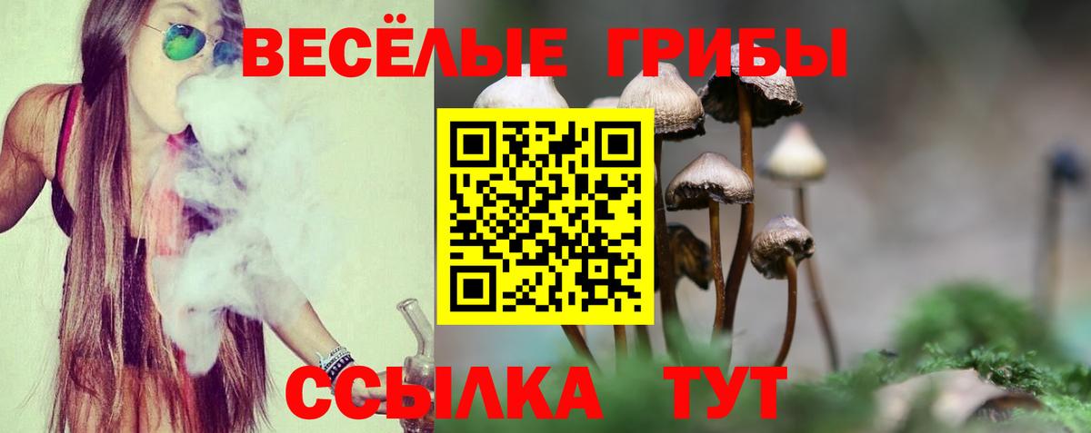 Тавда  Псилоцибиновые грибы Magic Shrooms  Псилоцибиновые грибы MAGIC MUSHROOMS  Вход с VPN 